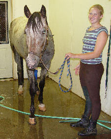 Winter being held in the wash stall